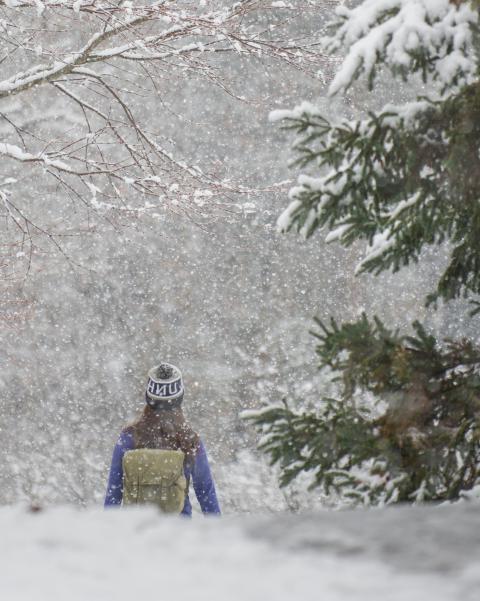 UNH学生走在雪道上