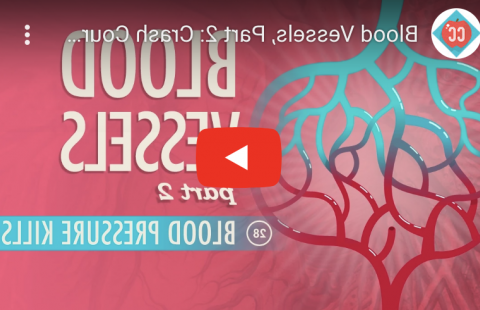 血管-血压Youtube视频截图