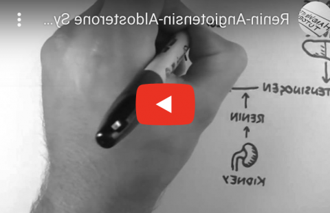 肾素-血管紧张素-醛固酮系统Youtube视频截图