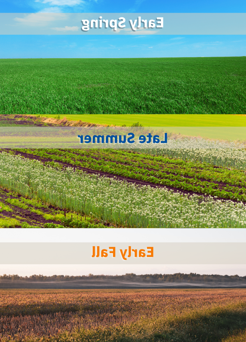 这张拼贴照片显示了三个不同季节的农田