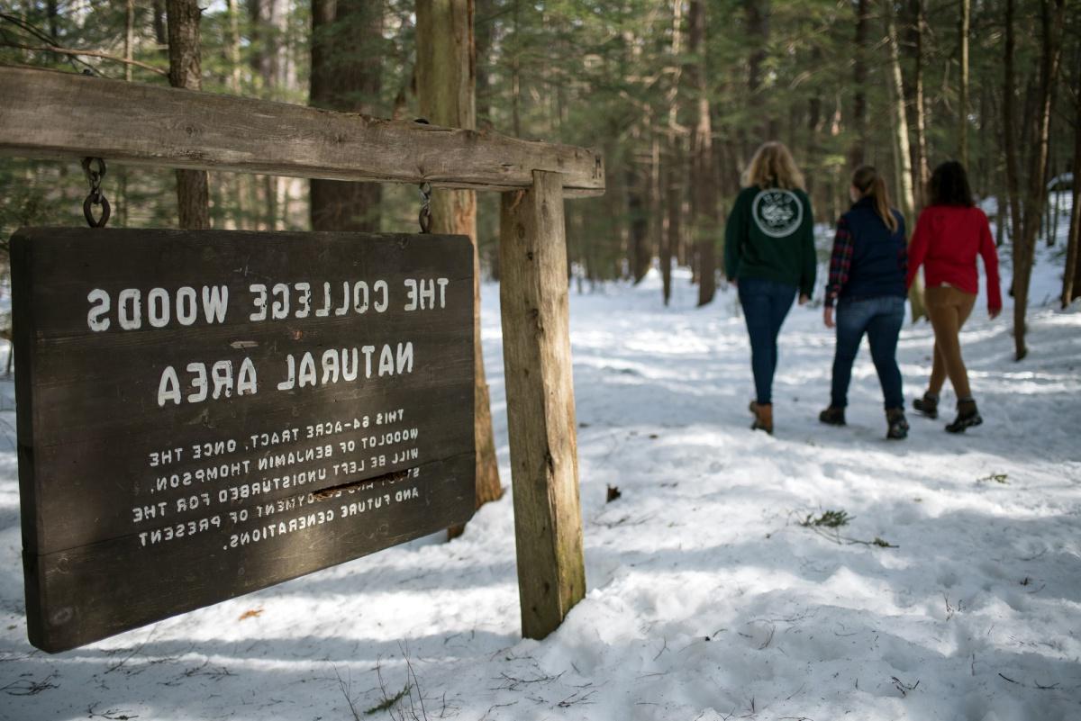 前景的一块牌子上写着“学院森林自然区”.地上有雪，背景中有三个人穿过树林.