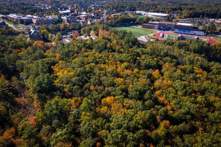 aerial photo of 主要研究 College Woods in fall with football stadium in background