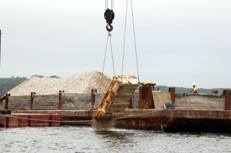 在大湾河口的南泥岛珊瑚礁修复地点，一架起重机将风干的贝壳放入水中，以建立基板.