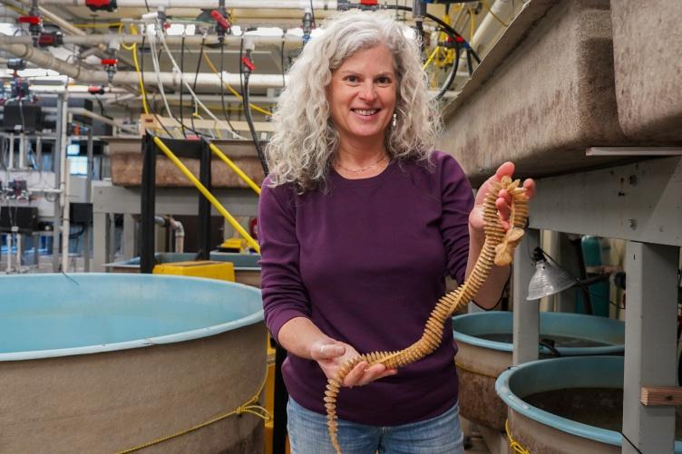 主要研究研究员伊丽莎白·费尔柴尔德站在海岸海洋实验室, 拿着几个螺蛋壳.