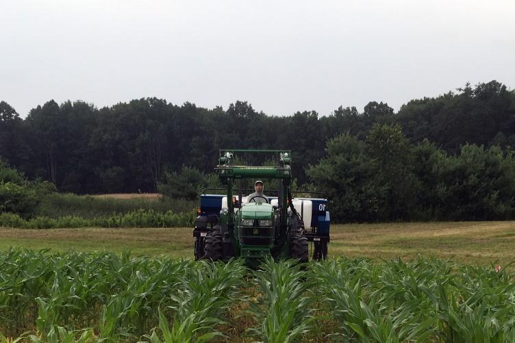 宾夕法尼亚州立大学的“间种机”在正在生长的玉米之间添加覆盖作物的照片.
