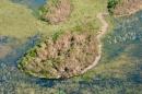 飓风破坏的红树林无人机图像